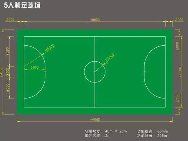 足球场草坪