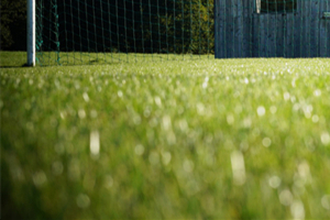 人造草坪中使用的添加剂也是影响价格的关键因素！