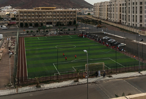 人造草坪和天然草坪各有优势！