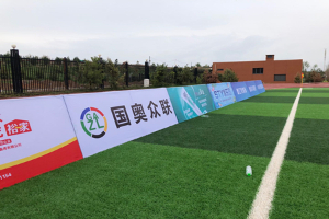 足球场草坪为什么要是用两种颜色呢？