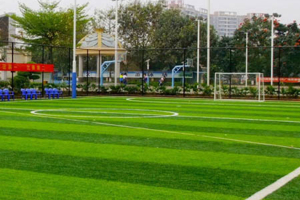 人造草坪已成为体育行业高新材料！