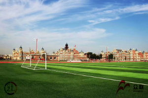 人造草坪运动场地应该选择什么样的人造草坪草丝？