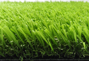 免填充草坪和缓冲垫的搭配。