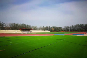 为什么新建没多久人造草坪场地就出现掉丝现象呢？