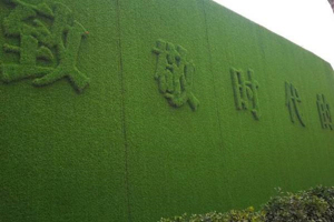人造草坪应用广泛的原因是什么？