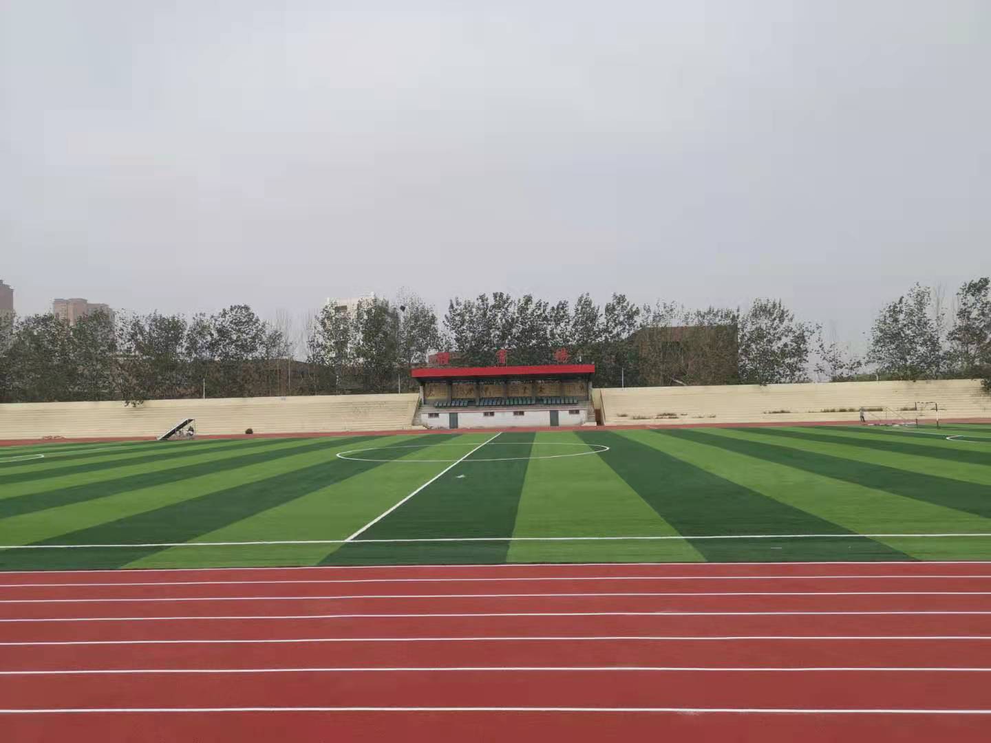 足球场人造草坪.jpg