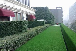 庭院小面积使用休闲人造草坪怎么样？